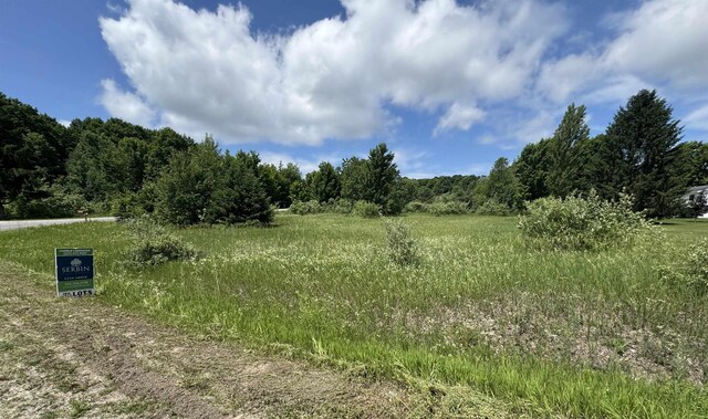 LOTS32 S Ski View Cir, Cedar, MI 49621 - photo 3