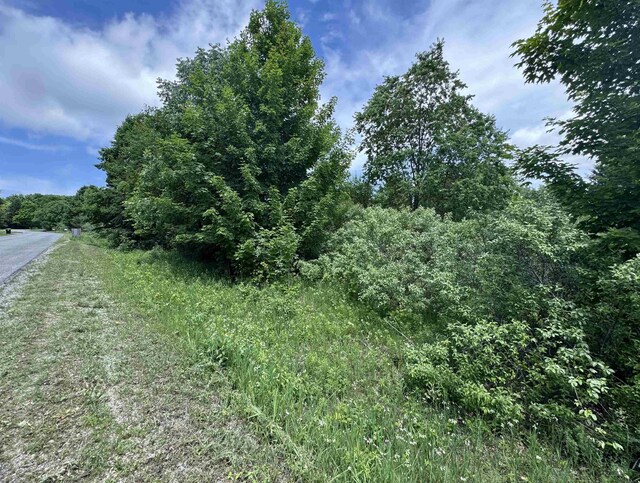 LOTS32 S Ski View Cir, Cedar, MI 49621 - photo 4