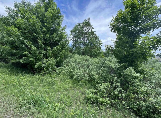 LOTS32 S Ski View Cir, Cedar, MI 49621 - photo 5