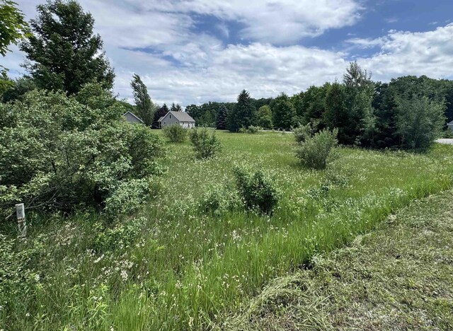 LOTS32 S Ski View Cir, Cedar, MI 49621 - photo 6