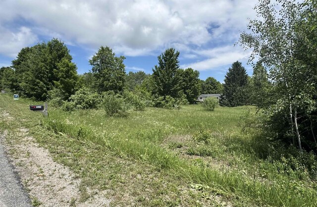 LOTS32 S Ski View Cir, Cedar, MI 49621 - photo 7