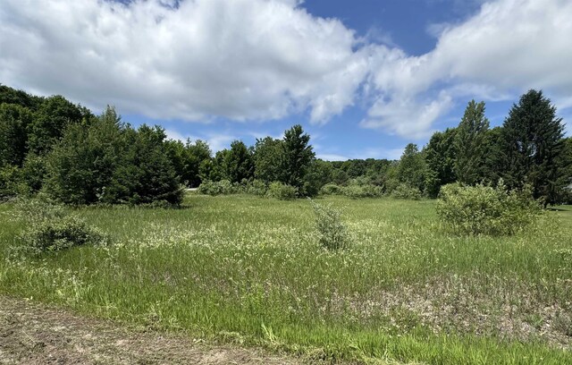 LOTS32 S Ski View Cir, Cedar, MI 49621 - photo 8