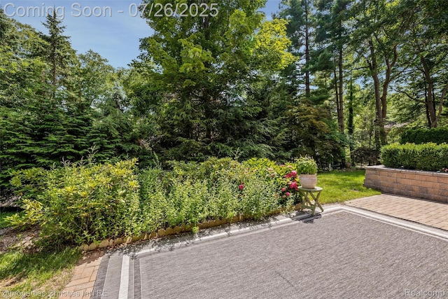 24 Barbour Ln Unit 3, Bloomfield Hills, MI 48304 - photo 35