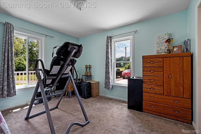 3232 W Schafer Rd, Pinckney, MI 48169 - photo 13