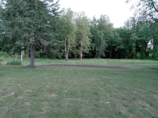 7981 W Main St, Kalamazoo, MI 49009 - photo 5