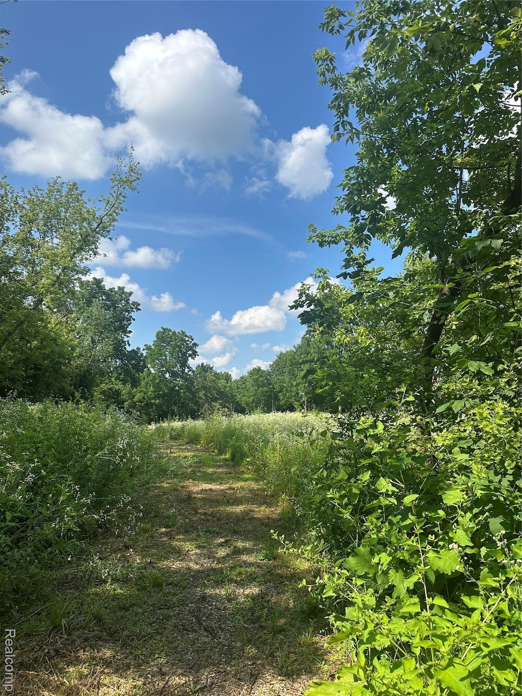 VL Lakeview Park Drive, Linden, MI 48430 - photo 3
