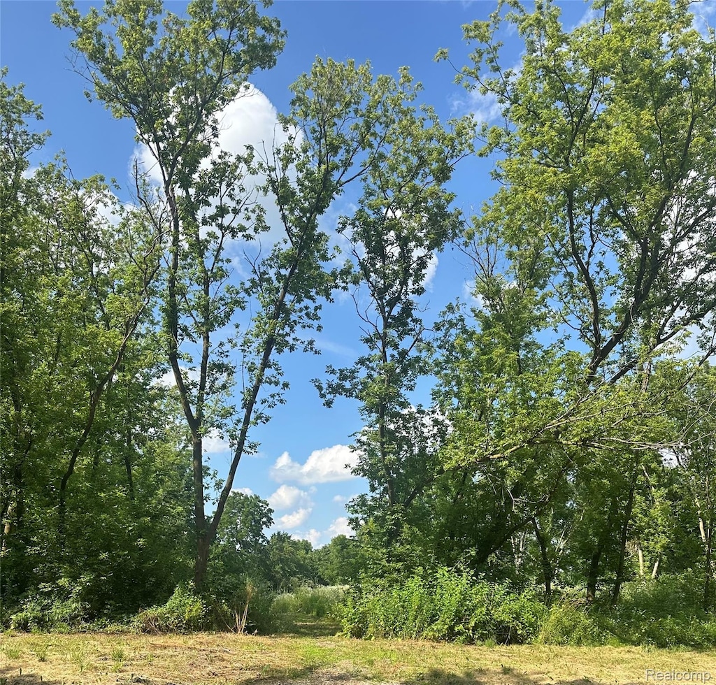 VL Lakeview Park Drive, Linden, MI 48430 - photo 2