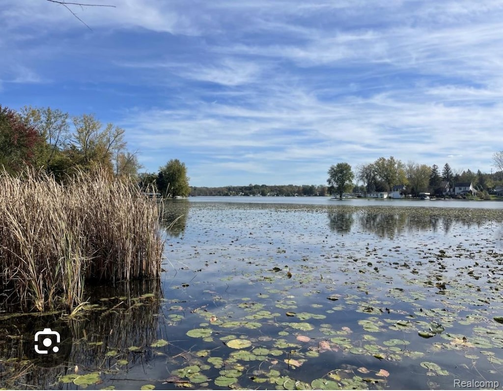 VL Lakeview Park Drive, Linden, MI 48430 - photo 4