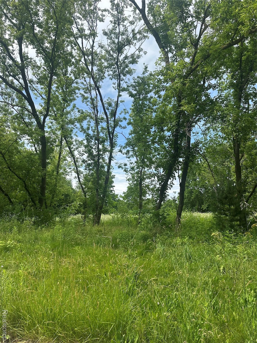 VL Lakeview Park Drive, Linden, MI 48430 - photo 1