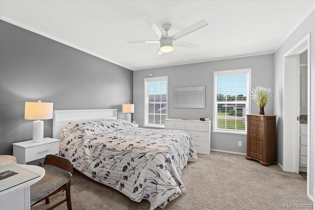 13226 Nashville Ln, Hartland, MI 48353 - photo 11