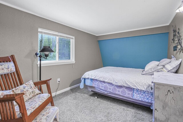 8303 W Sapphire, Lake City, MI 49651 - photo 43