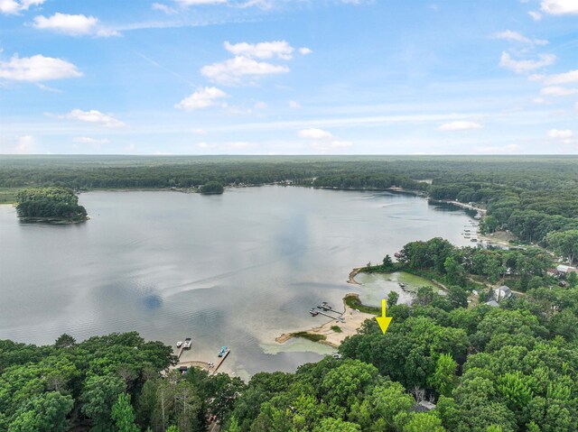 8303 W Sapphire, Lake City, MI 49651 - photo 53