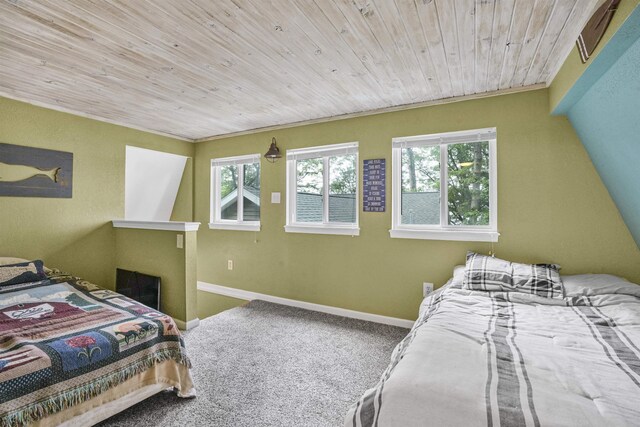 8303 W Sapphire, Lake City, MI 49651 - photo 41