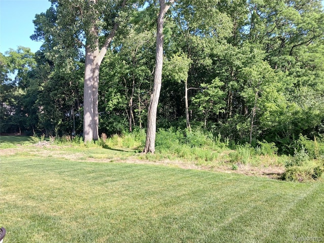 13508 Cobblestone Creek Dr, Belleville, MI 48111 - photo 6