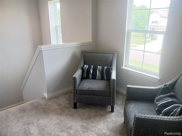 13508 Cobblestone Creek Dr, Belleville, MI 48111 - photo 22