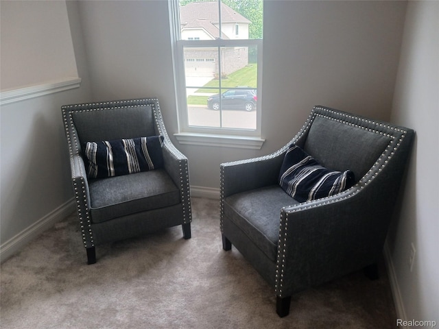 13508 Cobblestone Creek Dr, Belleville, MI 48111 - photo 23