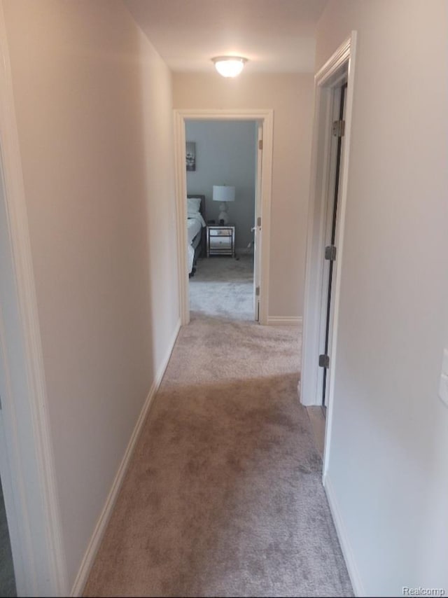 13508 Cobblestone Creek Dr, Belleville, MI 48111 - photo 31