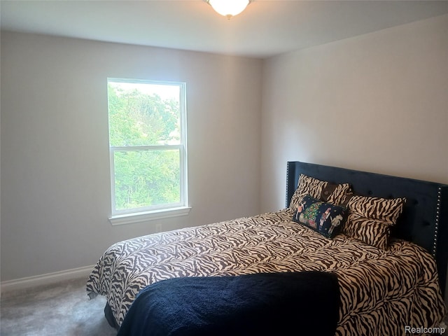 13508 Cobblestone Creek Dr, Belleville, MI 48111 - photo 32