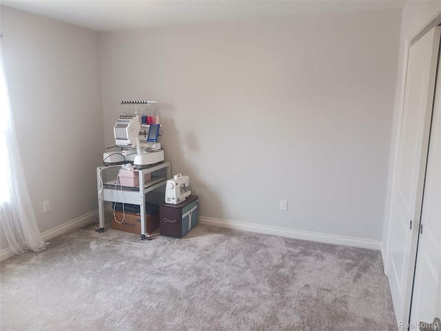 13508 Cobblestone Creek Dr, Belleville, MI 48111 - photo 34
