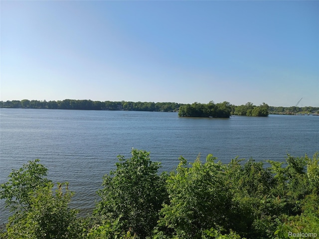 13508 Cobblestone Creek Dr, Belleville, MI 48111 - photo 39