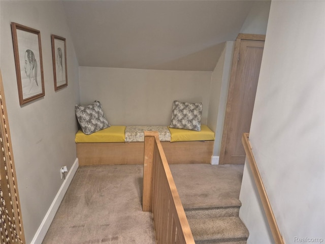 129 Kathy Ln, Brooklyn, MI 49230 - photo 29