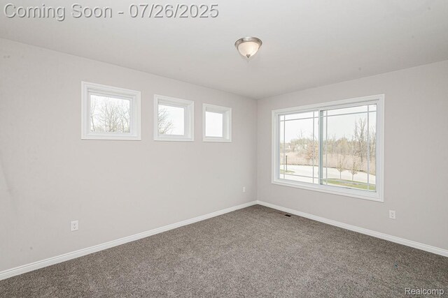 Land Lee Road, Brighton, MI 48116 - photo 10