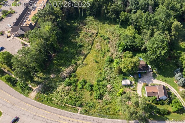 Land Lee Road, Brighton, MI 48116 - photo 13