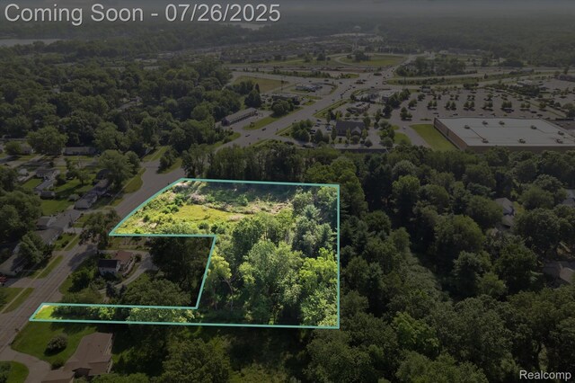 Land Lee Road, Brighton, MI 48116 - photo 16