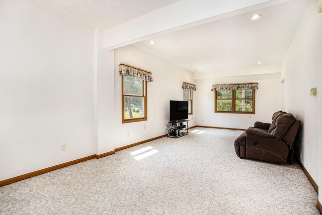 8309 Robins Ln, Battle Creek, MI 49014 - photo 12