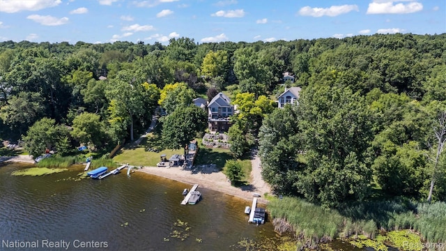 5619 Lakeview Blvd, Goodrich, MI 48438 - photo 52