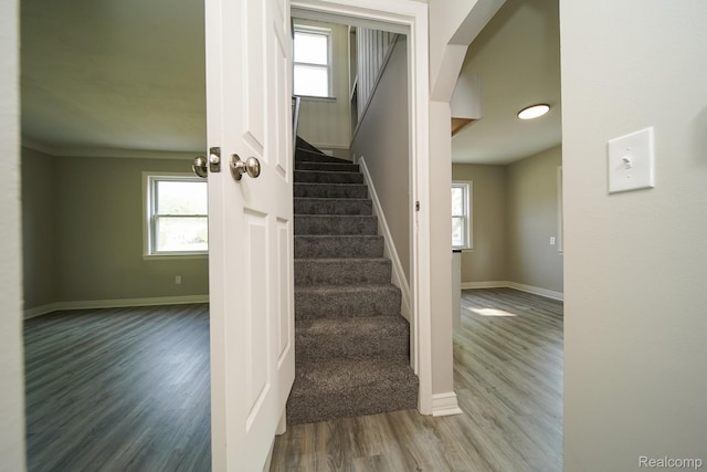 26340 Chippendale St, Roseville, MI 48066 - photo 39