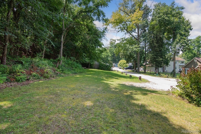 2319 Lakeview Dr, Brooklyn, MI 49230 - photo 44