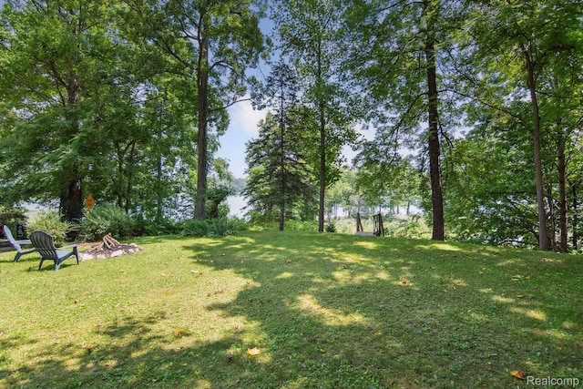 2319 Lakeview Dr, Brooklyn, MI 49230 - photo 42