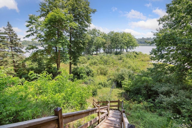 2319 Lakeview Dr, Brooklyn, MI 49230 - photo 30