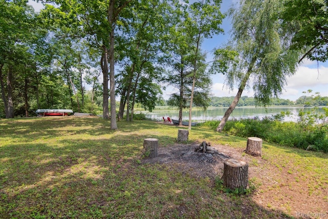 2319 Lakeview Dr, Brooklyn, MI 49230 - photo 39