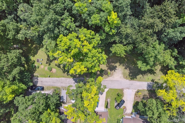 2319 Lakeview Dr, Brooklyn, MI 49230 - photo 48