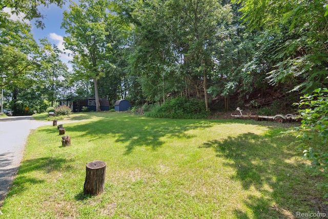 2319 Lakeview Dr, Brooklyn, MI 49230 - photo 45