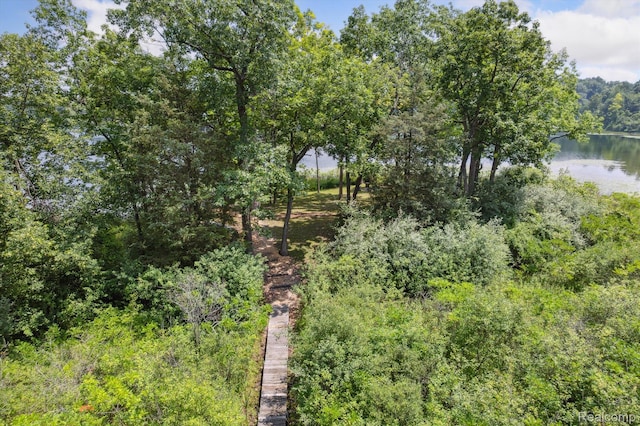 2319 Lakeview Dr, Brooklyn, MI 49230 - photo 53