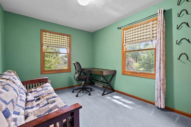 148 Hidden Forest Rd, Battle Creek, MI 49014 - photo 22