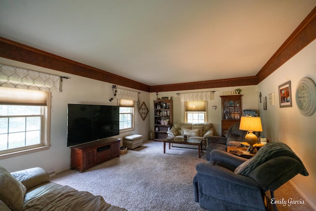 345 Grand St, Allegan, MI 49010 - photo 12