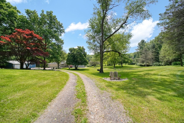 4565 Springbrook Rd, Jackson, MI 49201 - photo 3