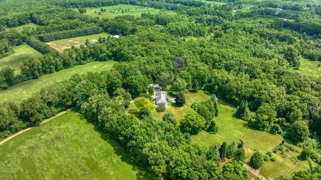4565 Springbrook Rd, Jackson, MI 49201 - photo 2