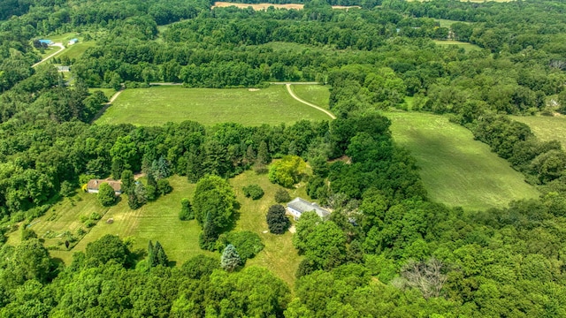 4565 Springbrook Rd, Jackson, MI 49201 - photo 4