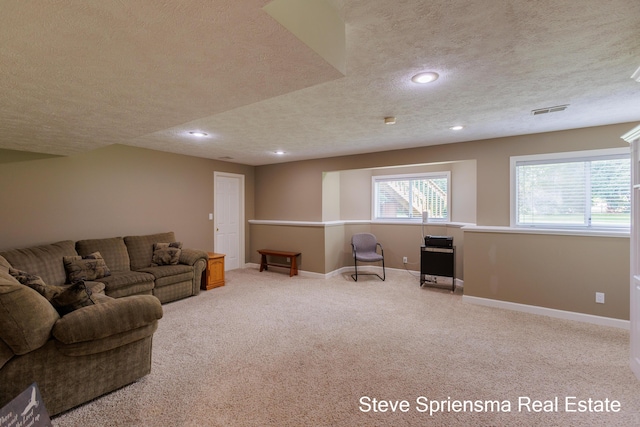 1021 Lumina Dr, Jenison, MI 49428 - photo 35