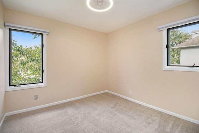 1509 Academy St, Kalamazoo, MI 49006 - photo 13