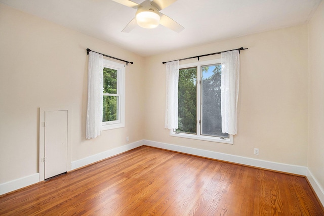 1509 Academy St, Kalamazoo, MI 49006 - photo 14