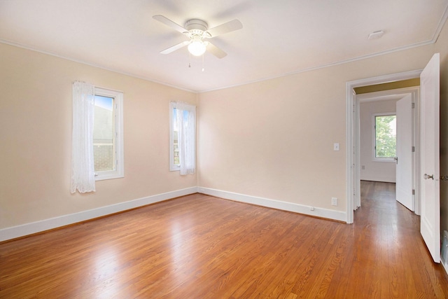 1509 Academy St, Kalamazoo, MI 49006 - photo 16