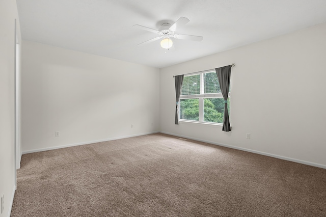 1697 Linden Trl, Kalamazoo, MI 49009 - photo 19