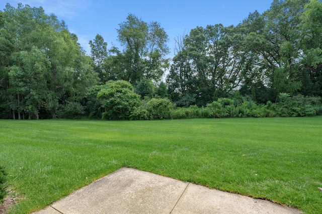 1697 Linden Trl, Kalamazoo, MI 49009 - photo 33