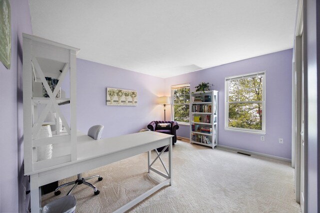 1491 Kent St, Traverse City, MI 49686 - photo 33